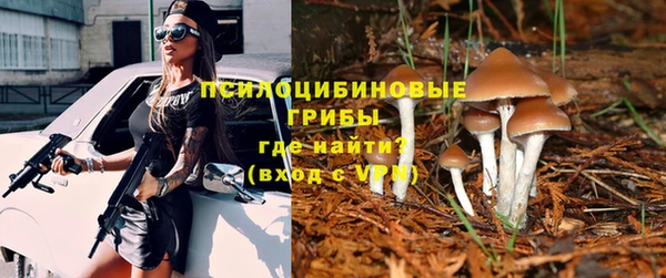 каннабис Аркадак