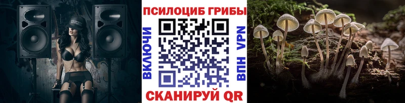 Галлюциногенные грибы мухоморы  купить наркоту  Себеж 